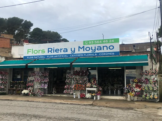 FLORISTERIA MOYANO