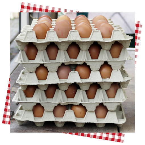 AVES & HUEVOS CASADO 