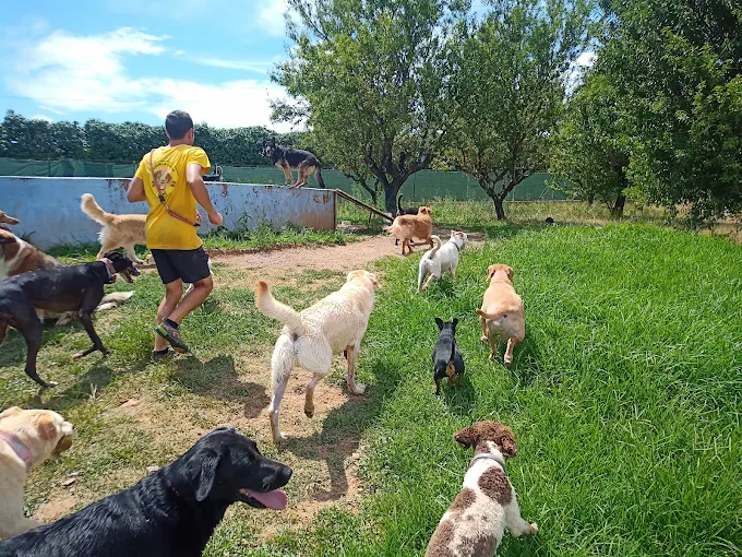 img-negocio