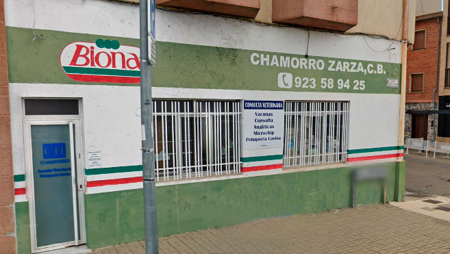 Chamorro Zarza