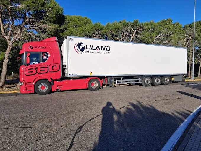 TRASNPORTES FULANO