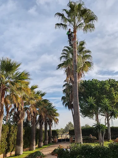 JFER JARDINERIA 