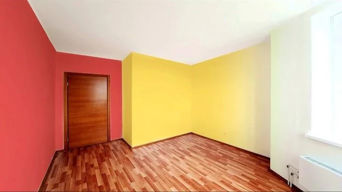 PINTURAS BONES