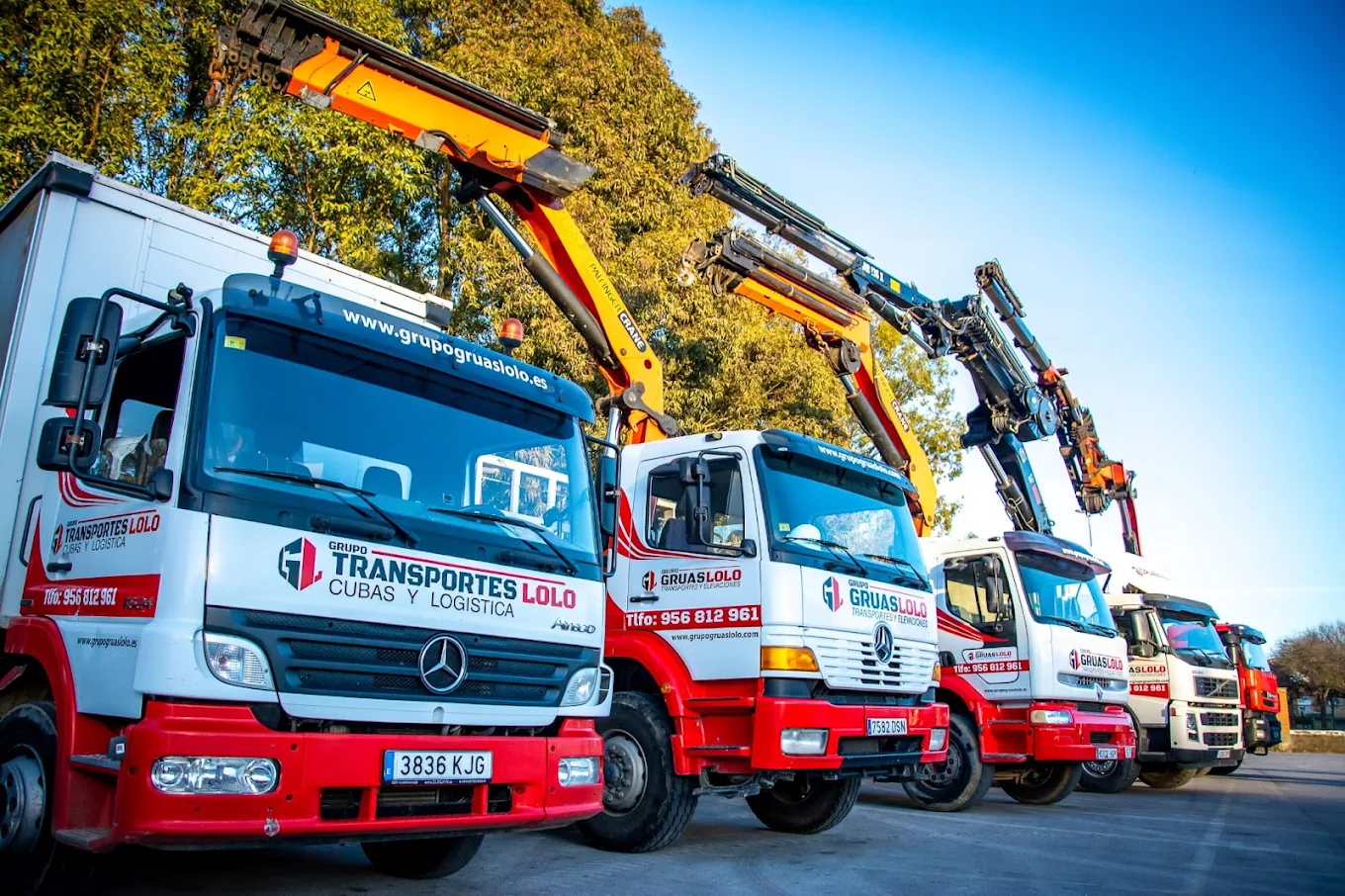 GRUAS LOLO ELEVACIONES