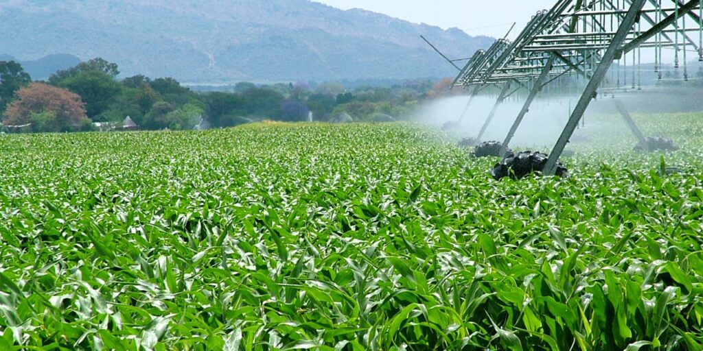 AGROINDUSTRIAL 4 HNOS