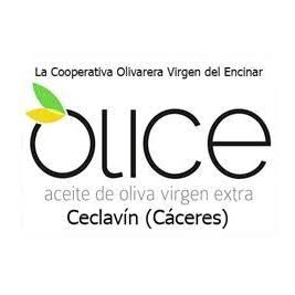 COOPERATIVA OLIVARERA VIRGEN DEL ENCINAR 