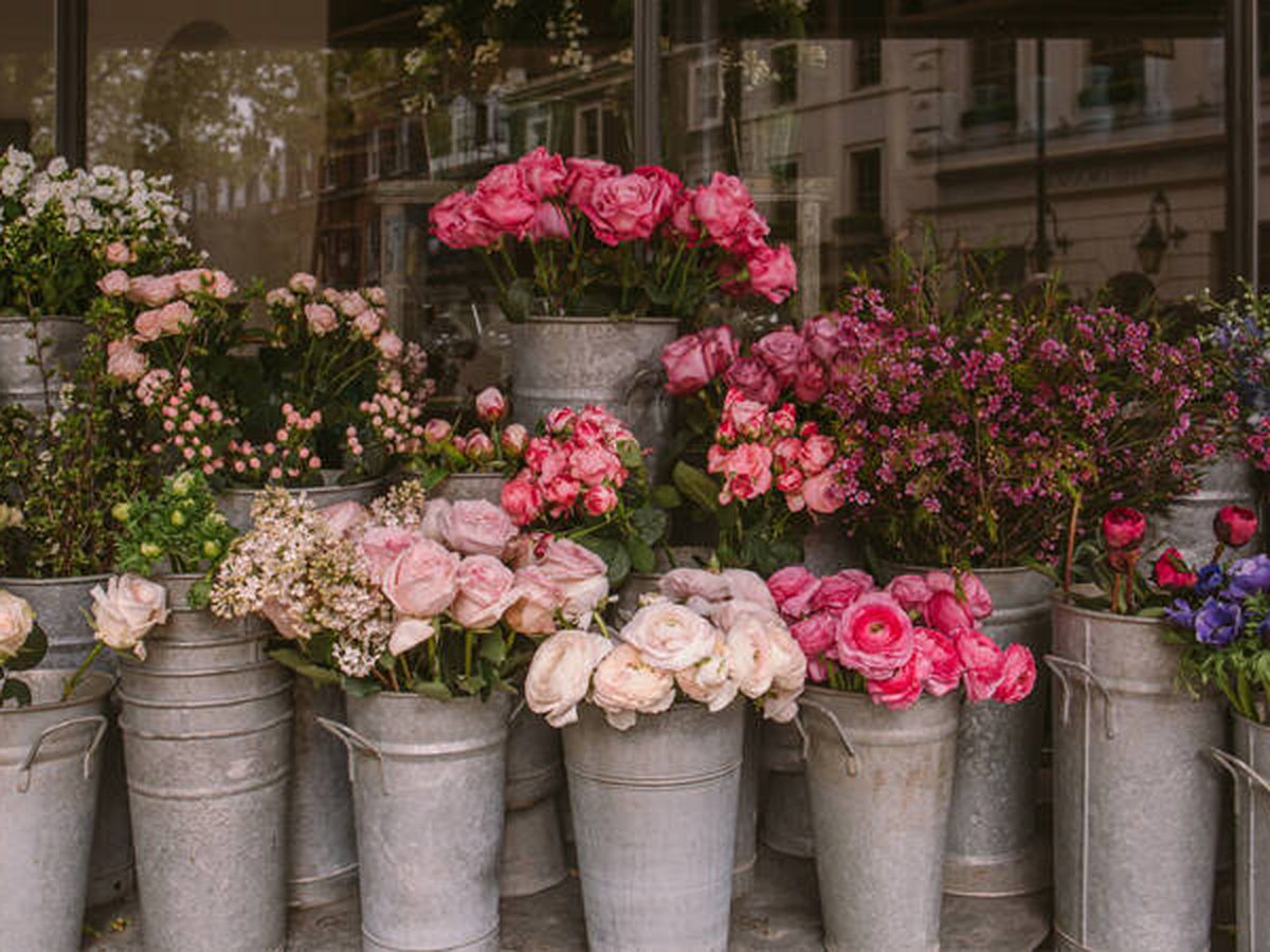 GONFLOR FLORISTERIA