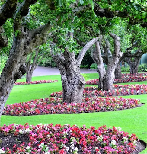 JARDINS SANCHEZ