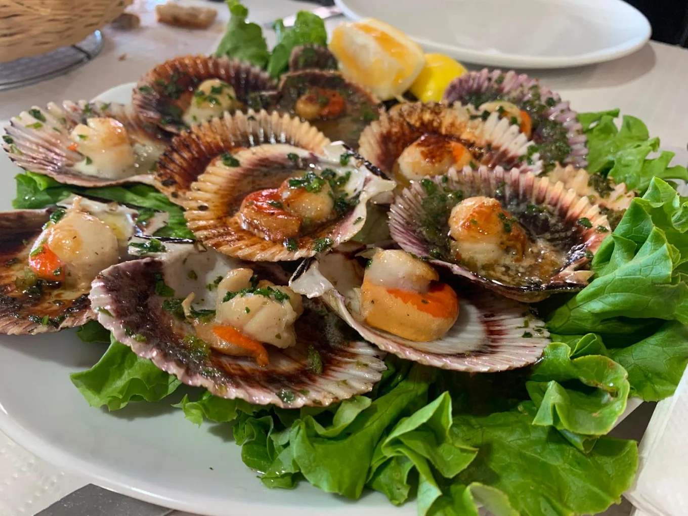 RESTAURANTE EL GITANO