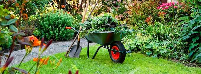 Jardineria Tudor